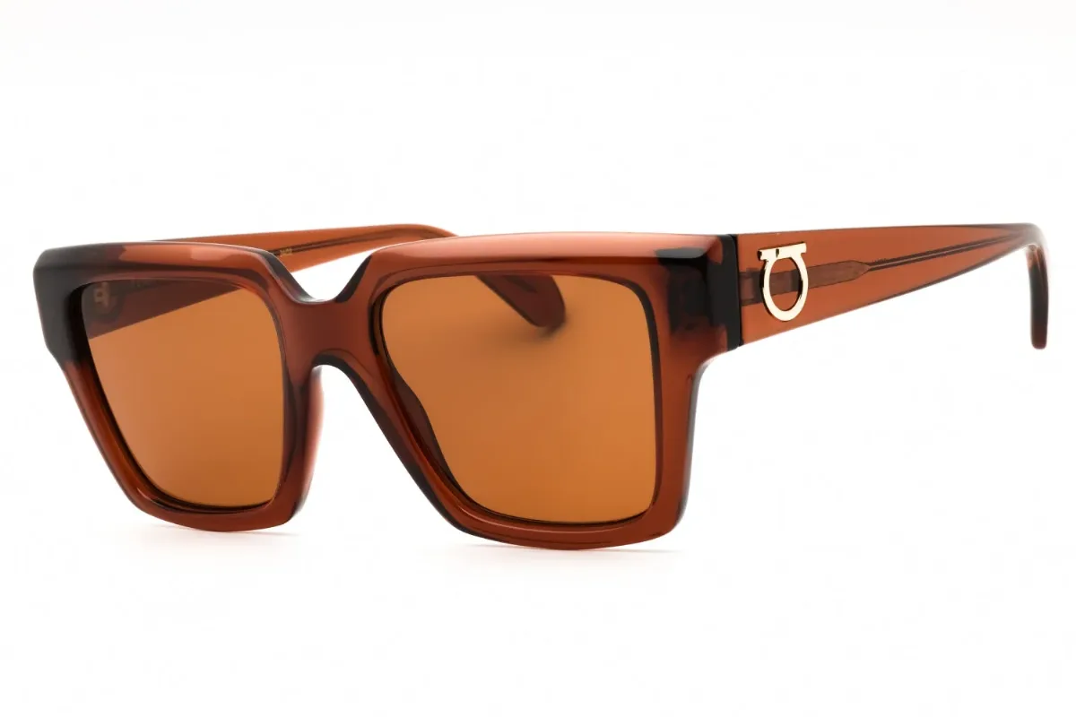 SF2014S Injected Propionate Sunglasses by Ferragamo