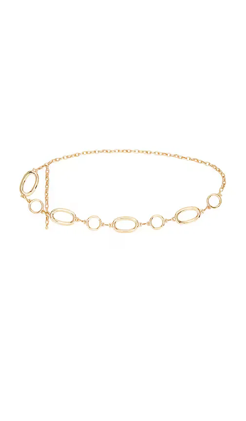 Multi-Ring Chain Belt