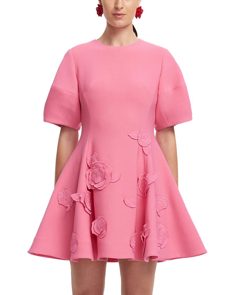 Simona Applique Minidress