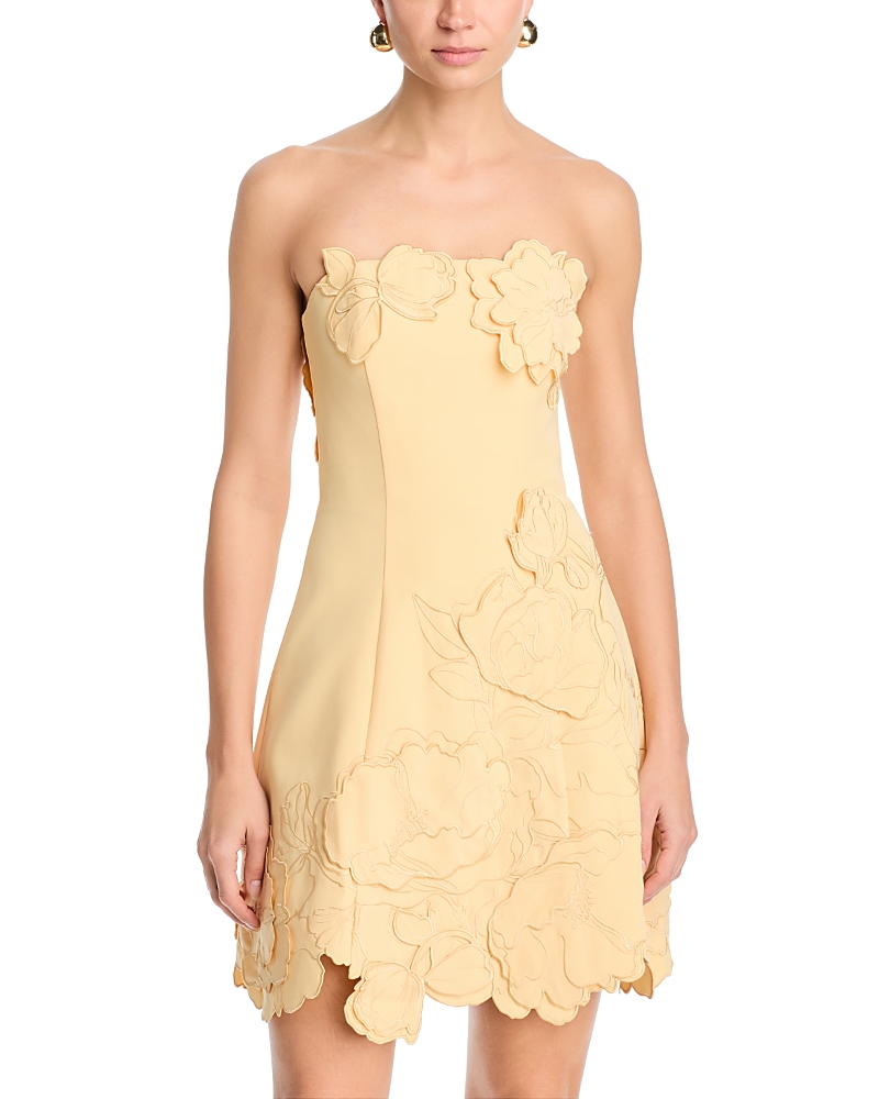 Ayla Applique Bustier Mini Dress