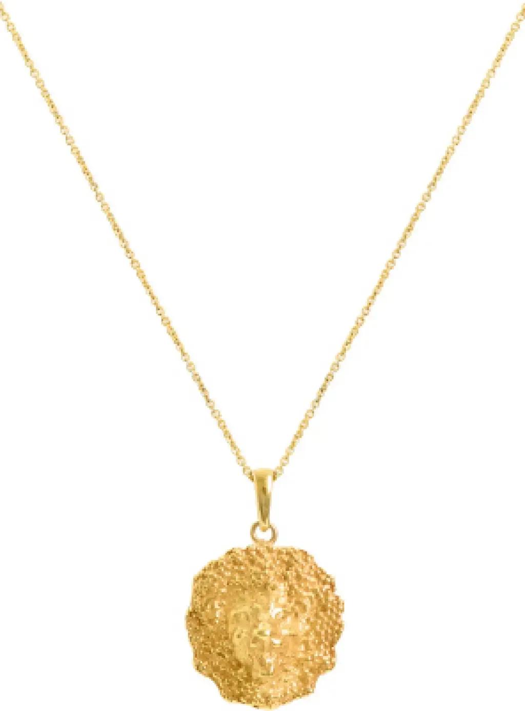 Lion Necklace