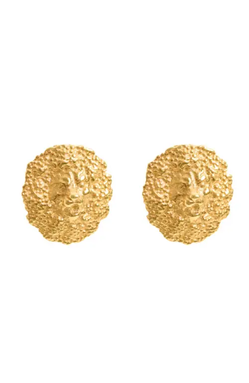 Lion Studs