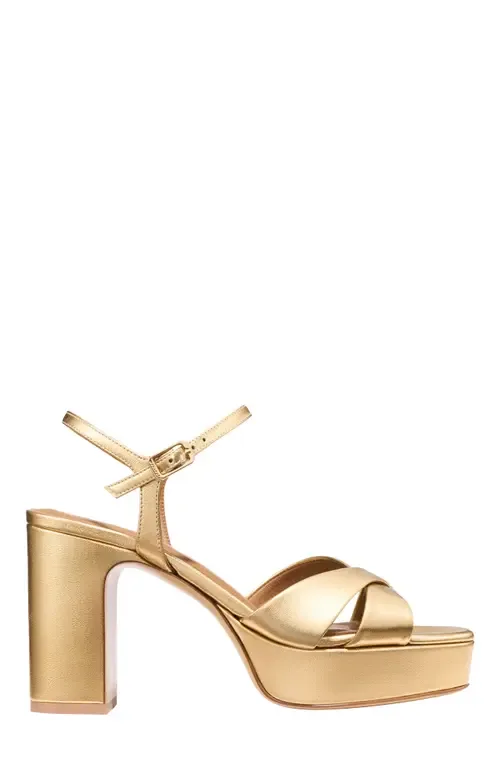 The Paloma Platform