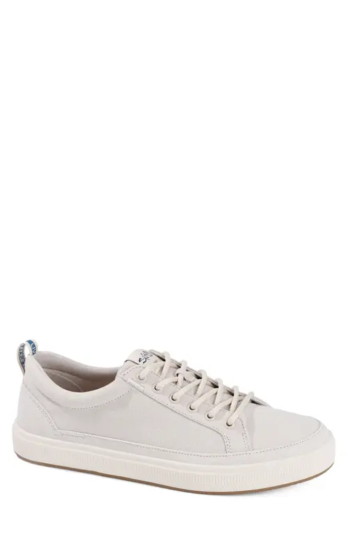 The Coast Sneaker in Taupe at Nordstrom, Size