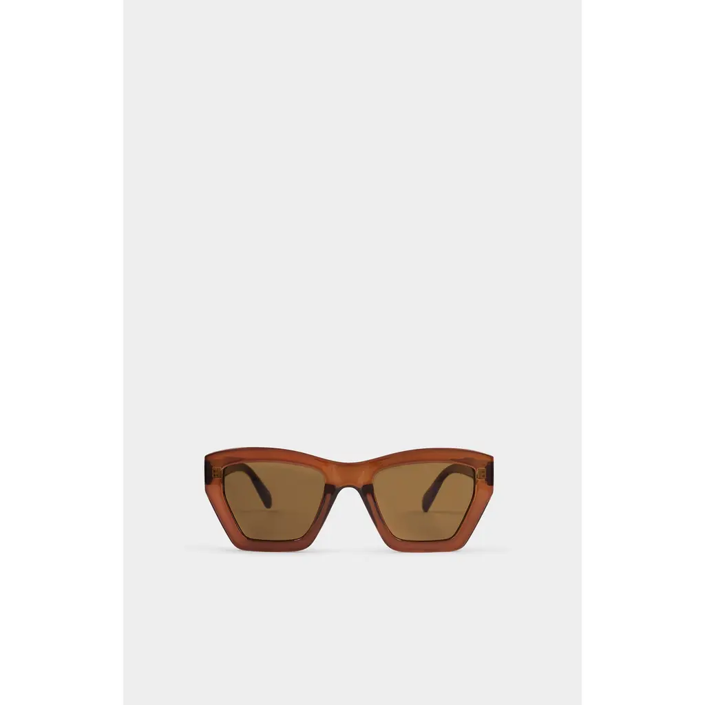 Palma Sunglasses in Chocolate Transparent at Nordstrom