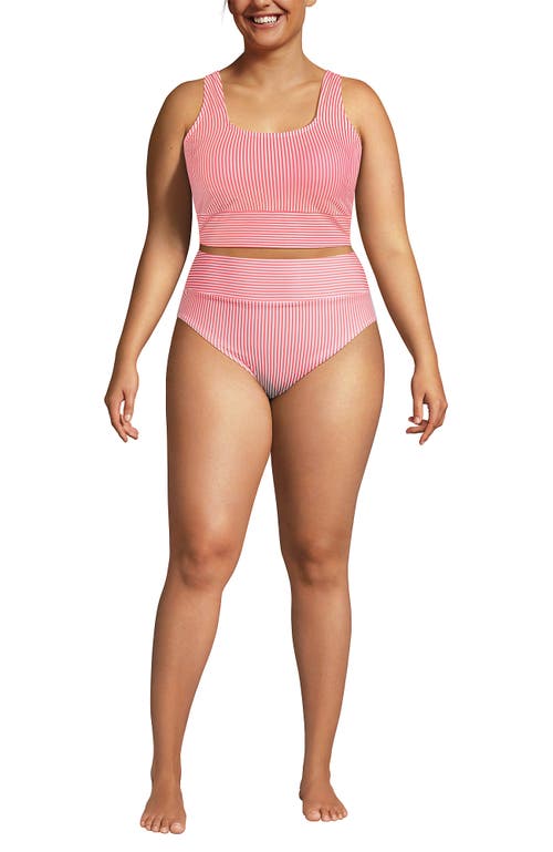 Plus Size Tugless Midkini Top and High Waisted Bottom Swimsuit Set in Wood Lily Mini Stripe at Nordstrom, Size