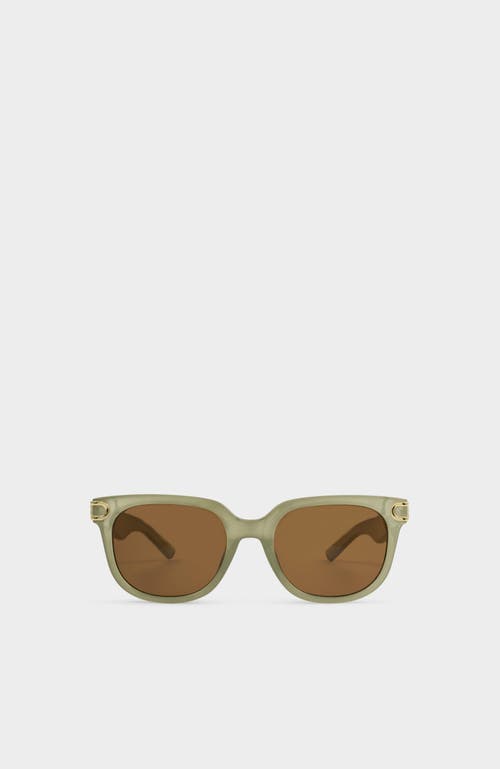 Manhattan Sunglasses in Frosted Green Transparent at Nordstrom