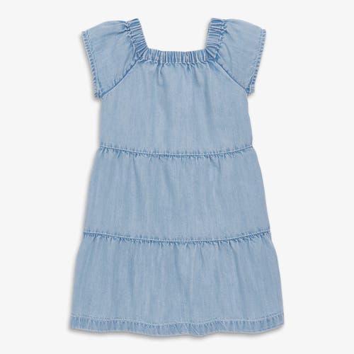 Kids Chambray Picnic Dress in Classic Chambray at Nordstrom, Size