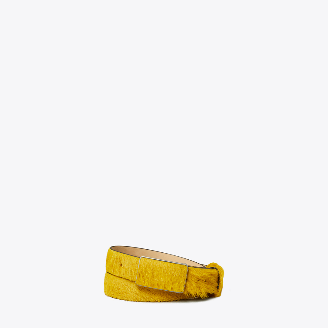 Plate Belt