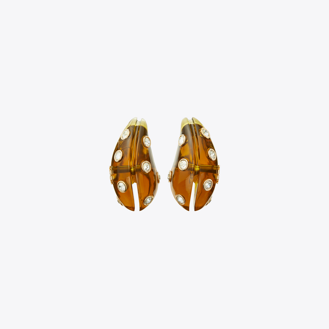 Pierced Earrings