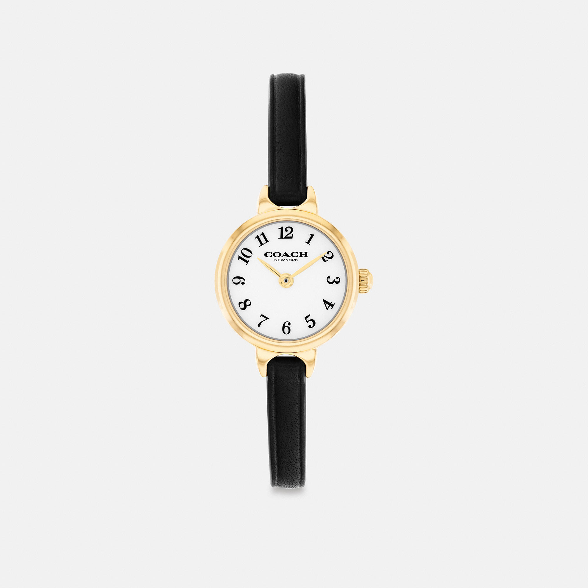 Iris Watch, 22mm