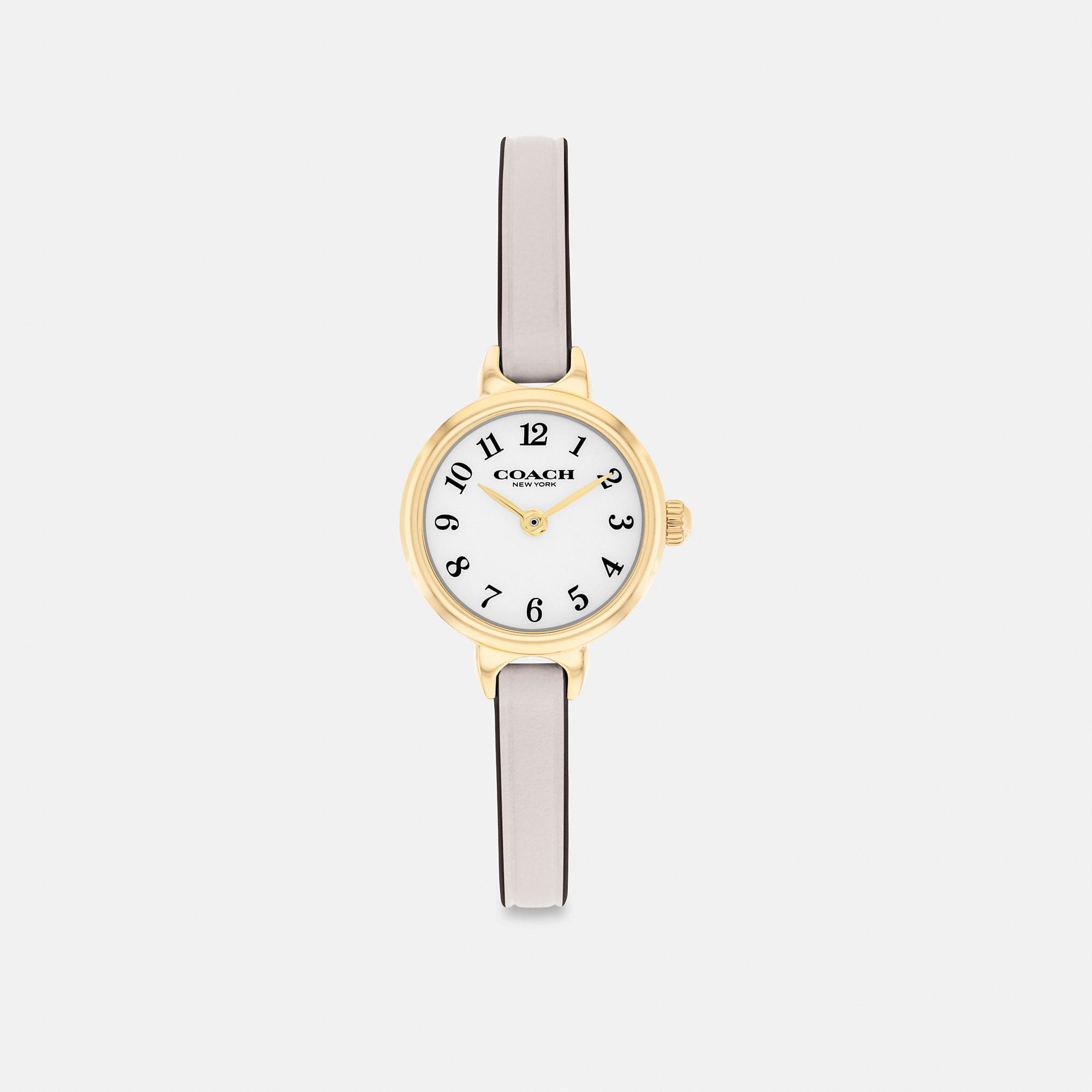 Iris Watch, 22mm