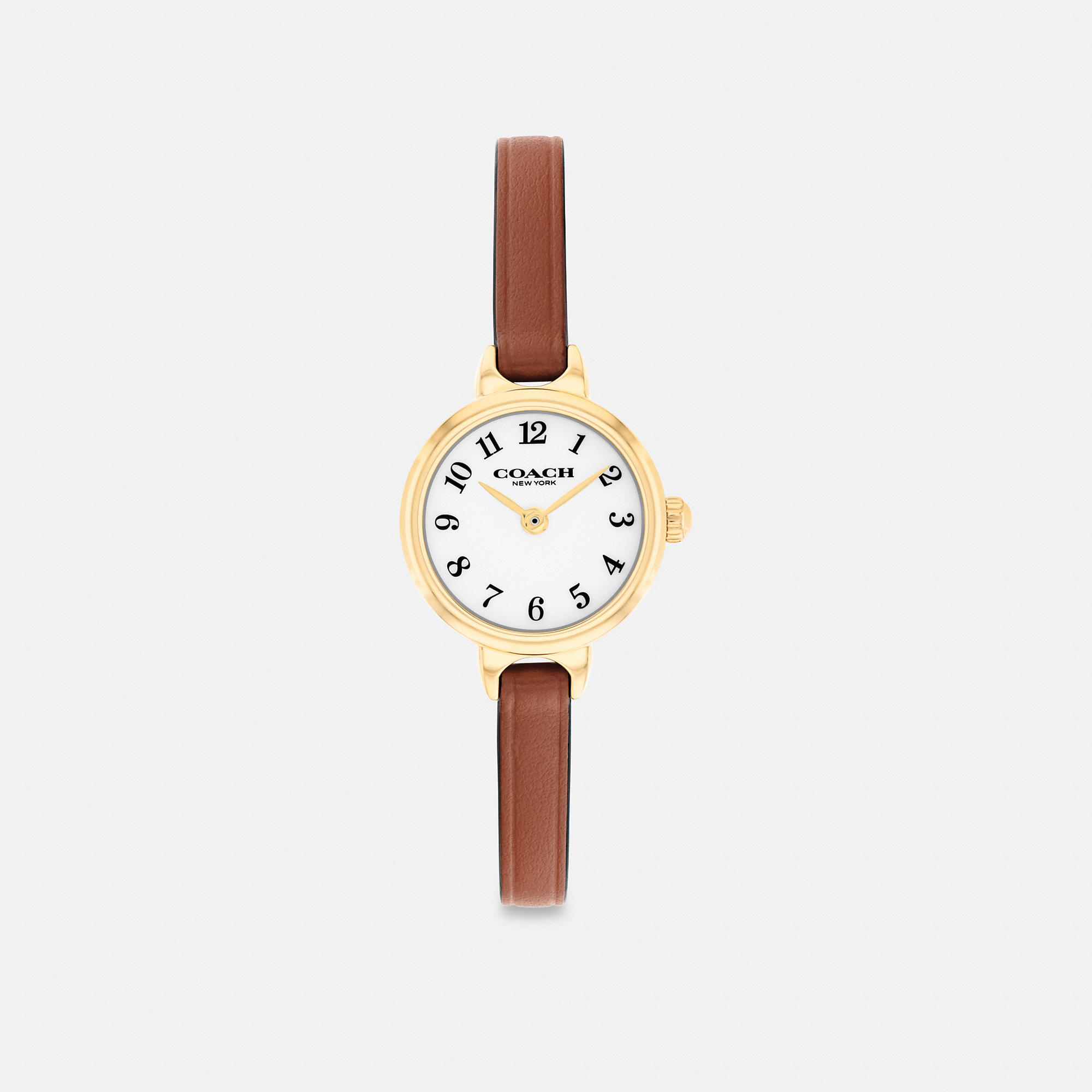 Iris Watch, 22mm