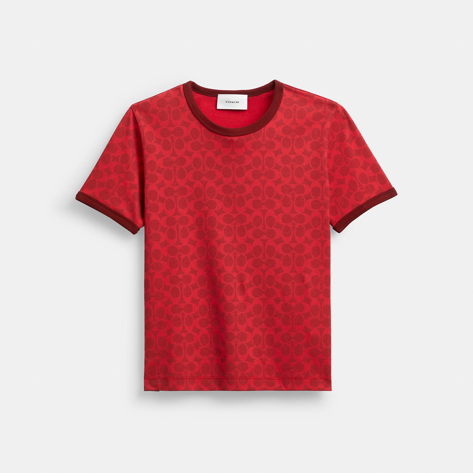 Signature Ringer T-Shirt In Organic Cotton