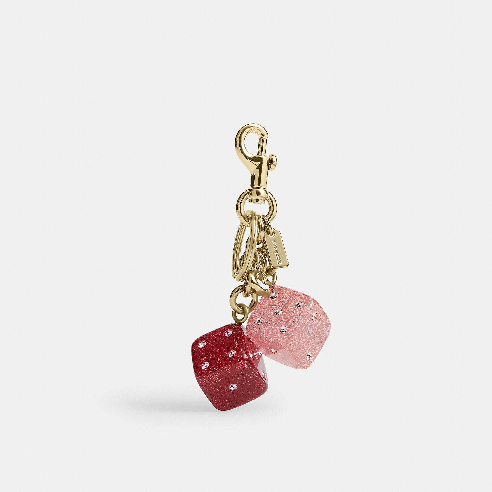 Dice Bag Charm