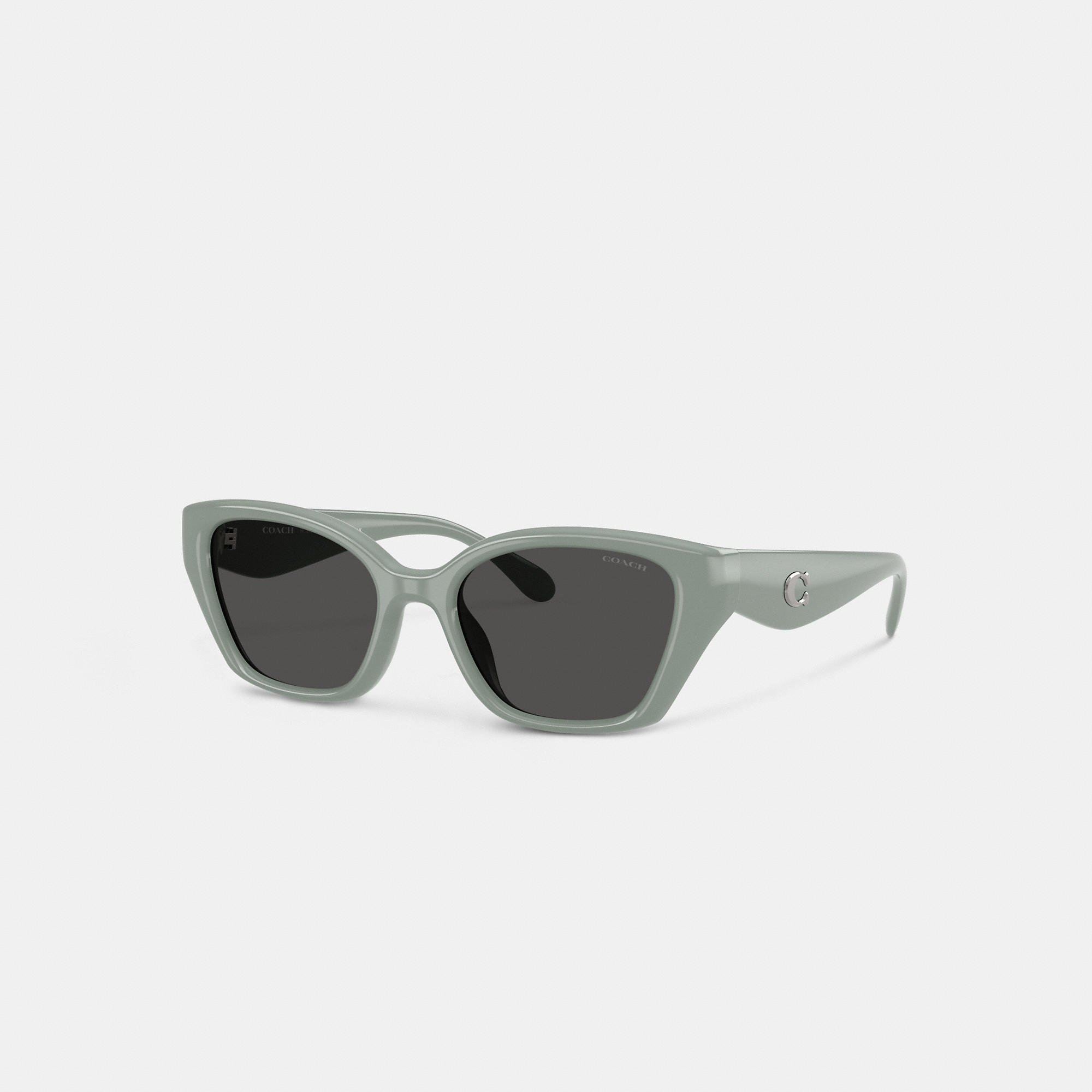 C Hardware Square Cat Eye Sunglasses