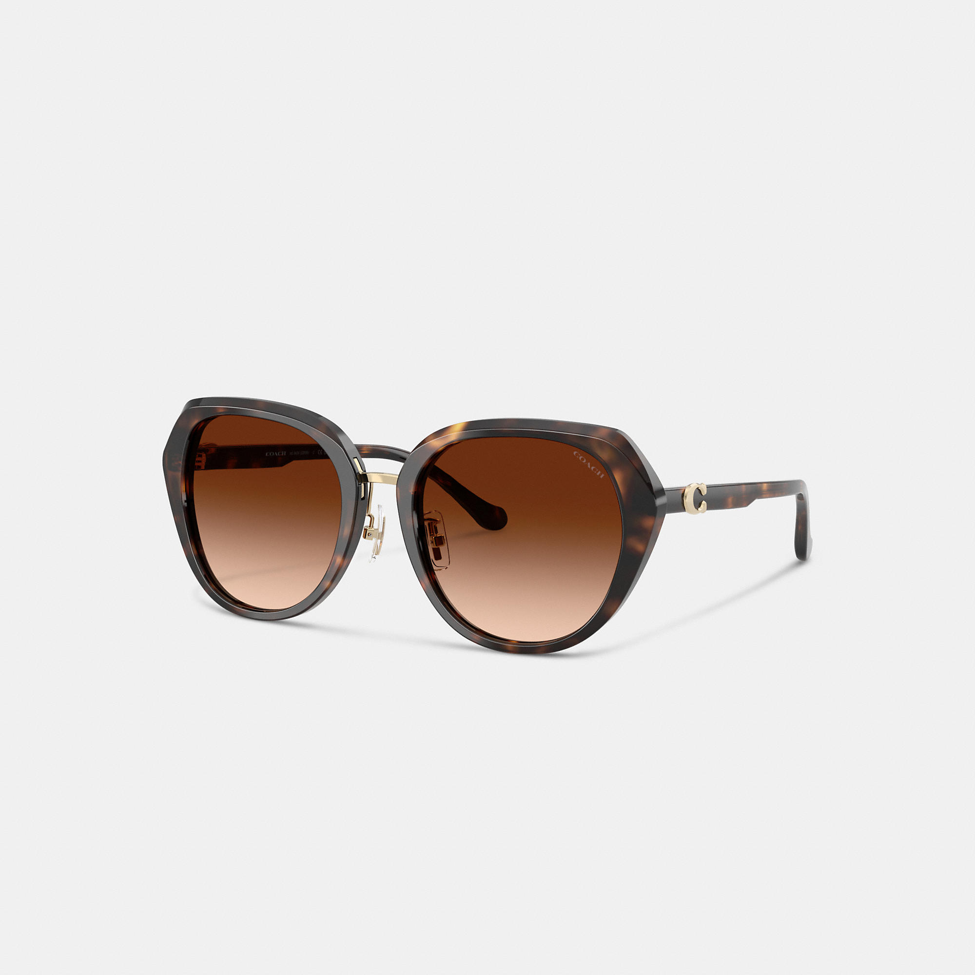 Maxi Sculpted C Oversized Round Sunglasses