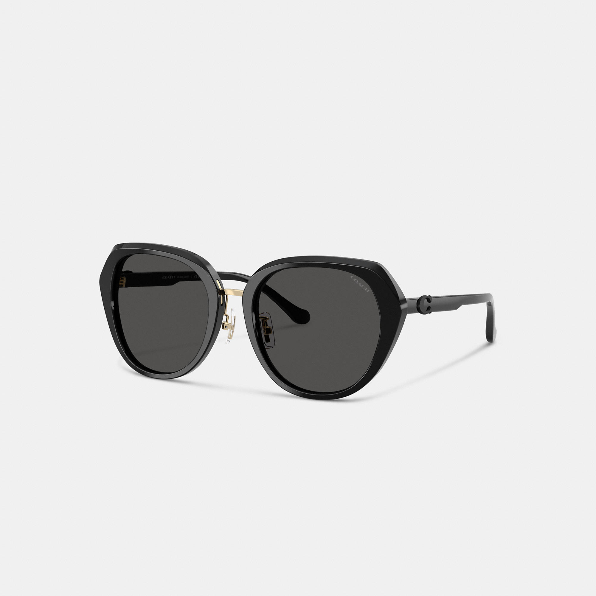 Maxi Sculpted C Oversized Round Sunglasses