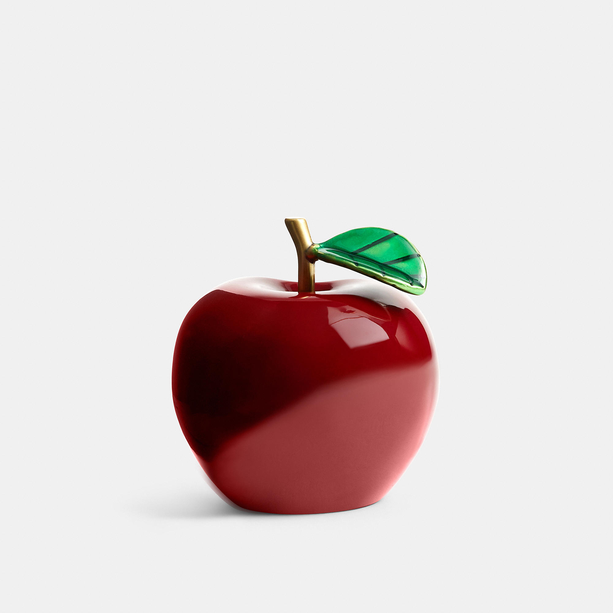 Apple Shoe Charm by COACH