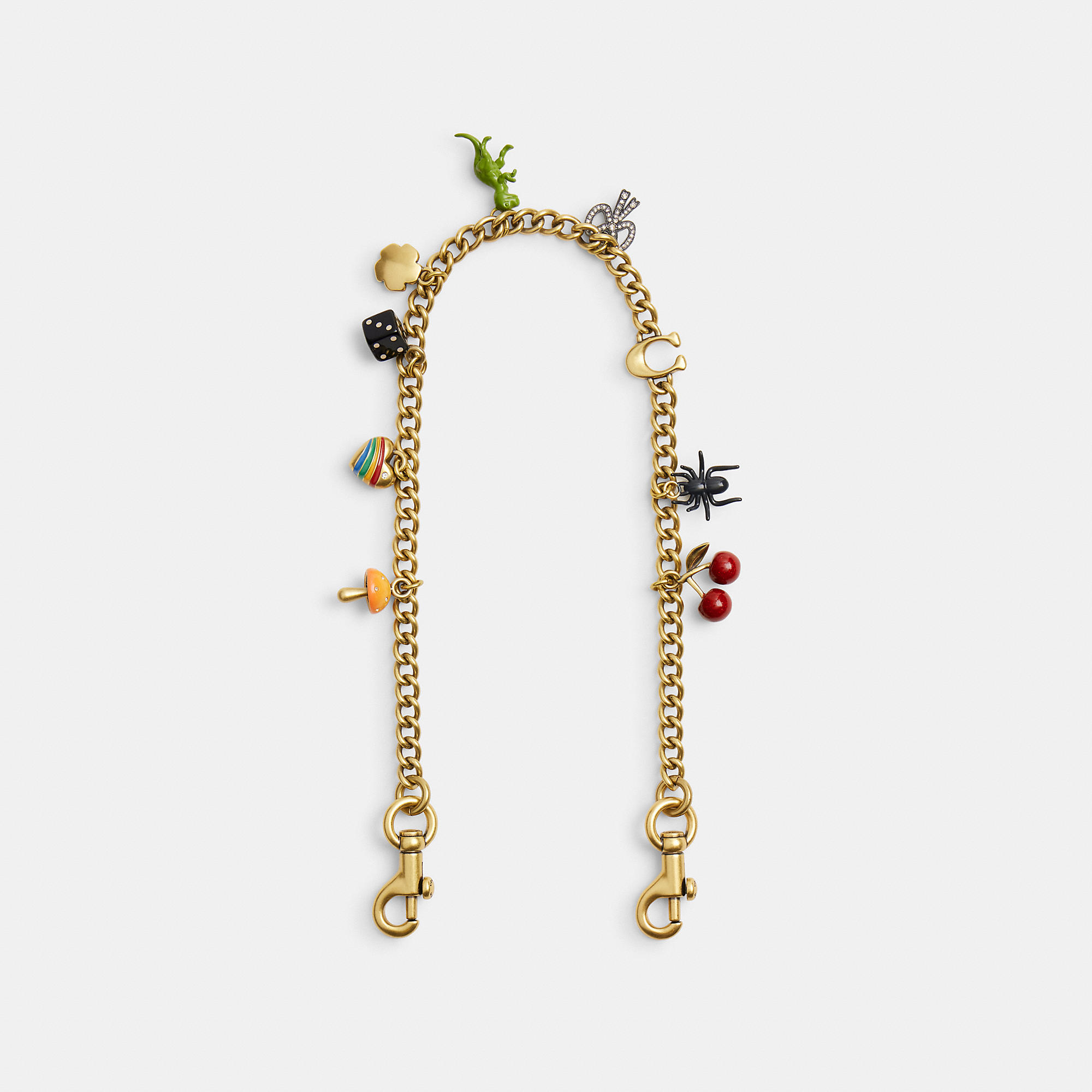 Chain Strap With Charms