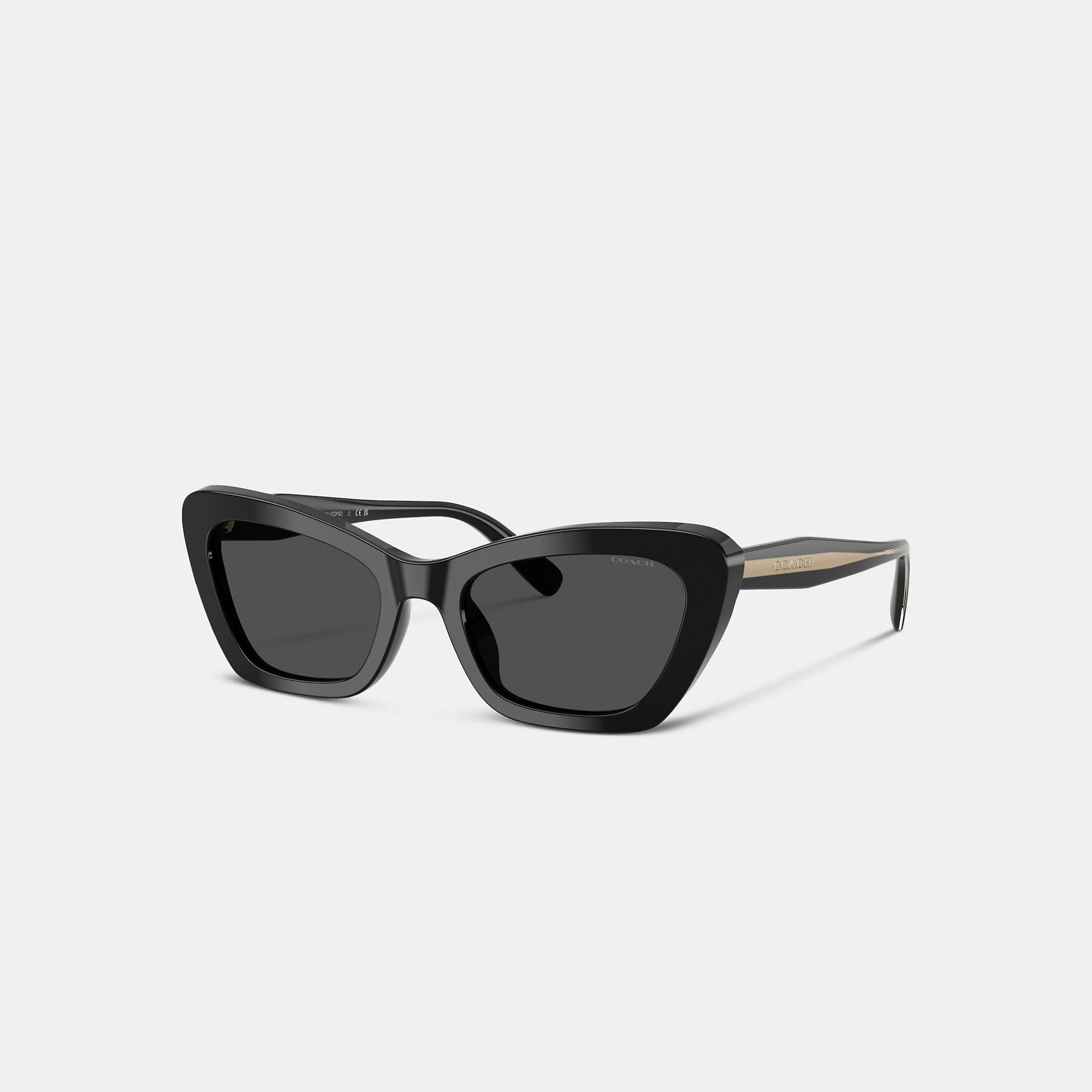 Wire Cat Eye Sunglasses