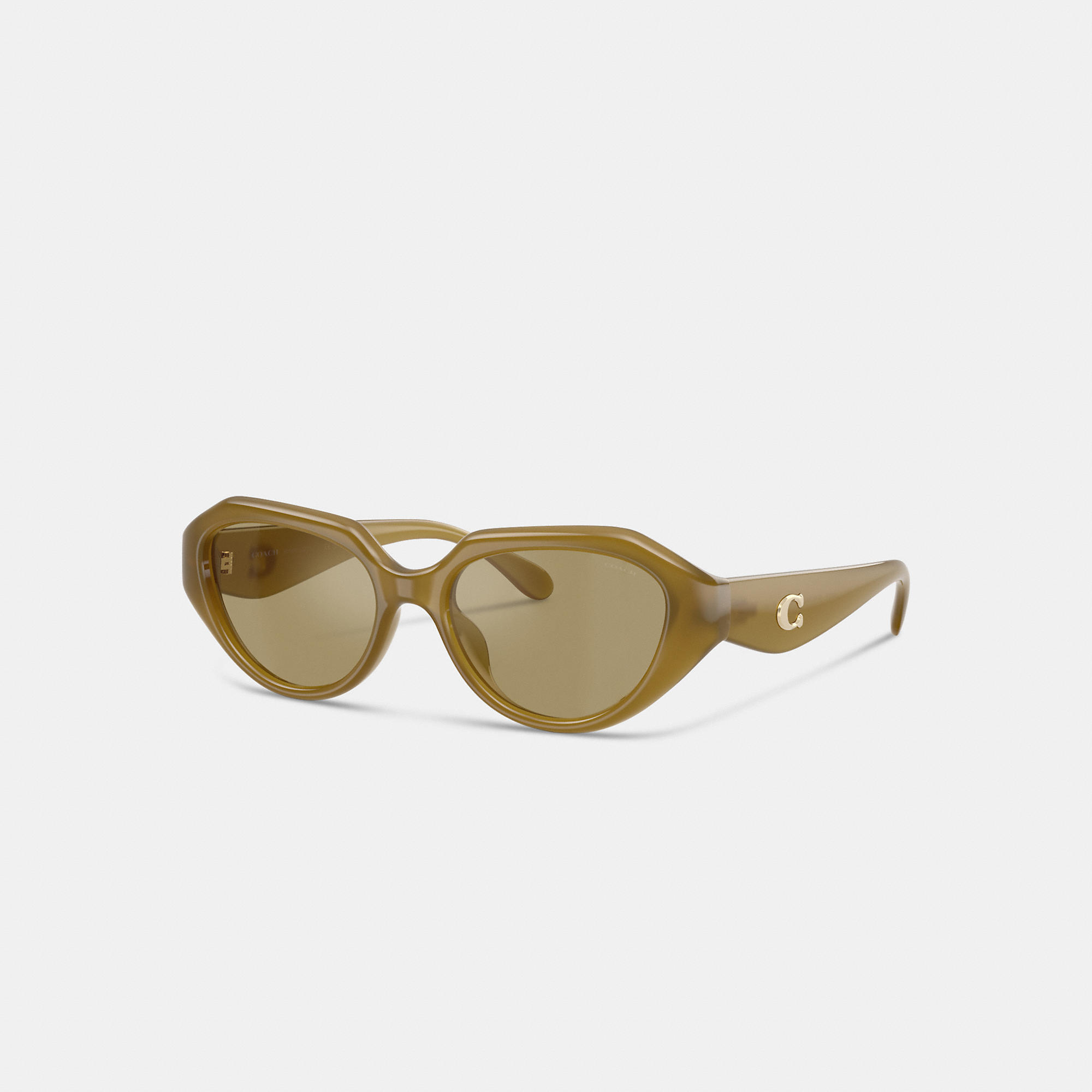 C Hardware Geometric Sunglasses by COACH