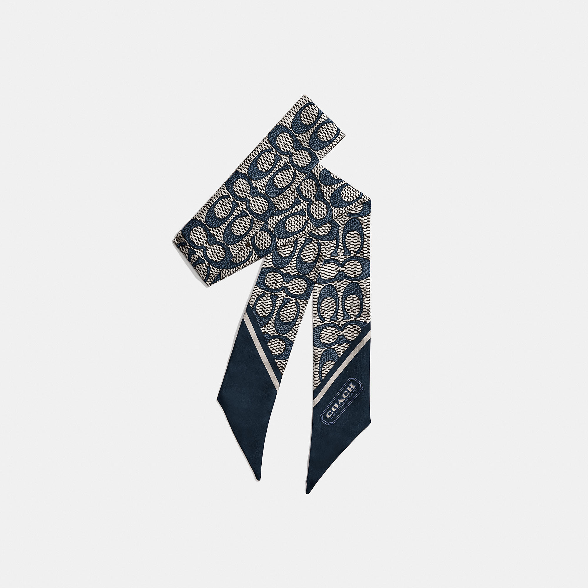 Textured Signature Print Silk Skinny Scarf