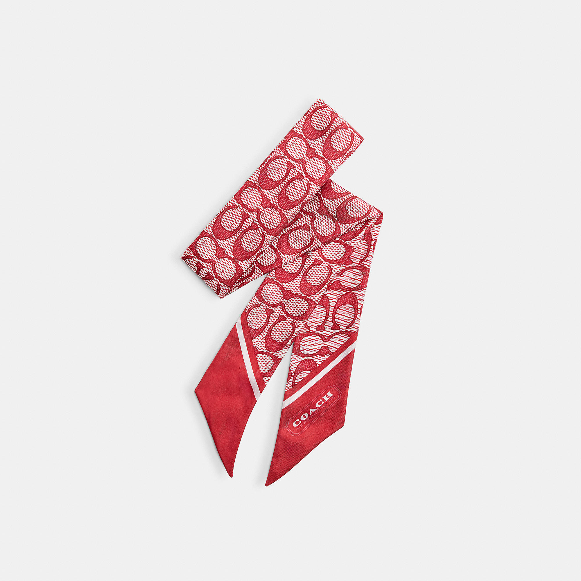 Textured Signature Print Silk Skinny Scarf
