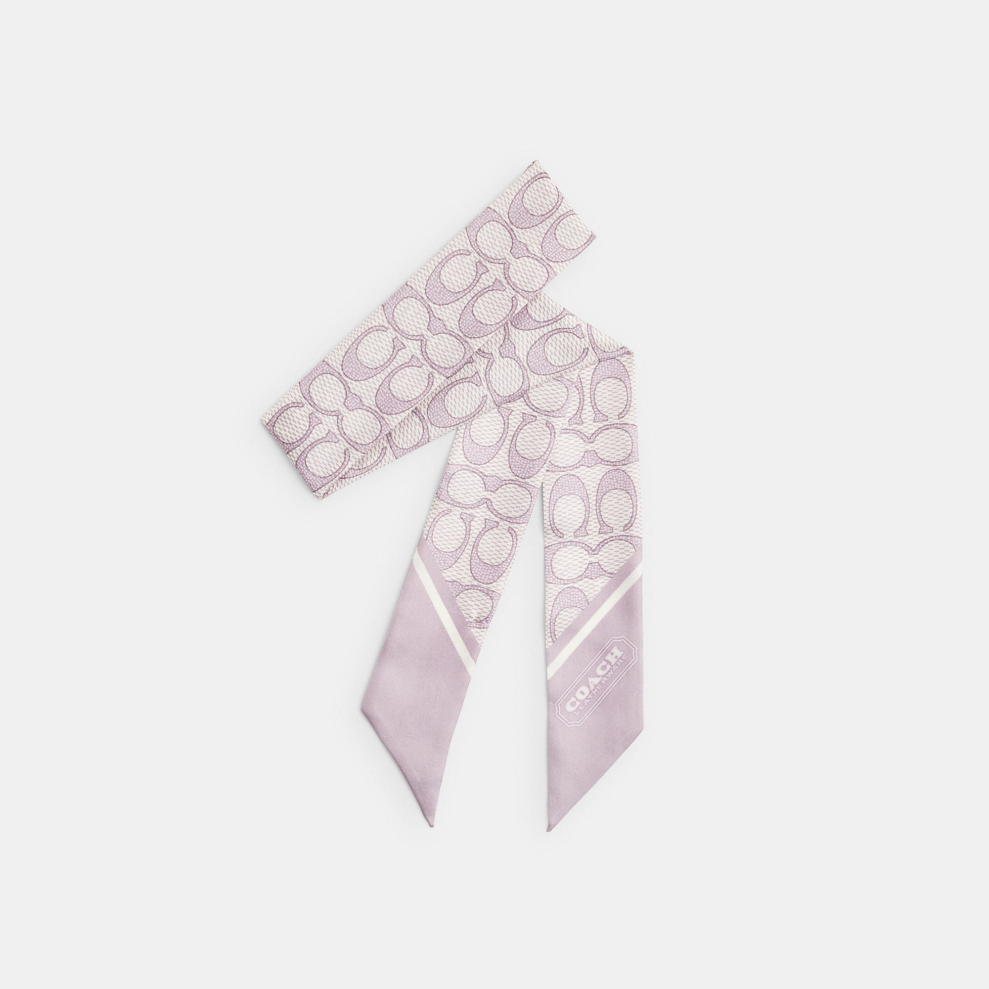 Textured Signature Print Silk Skinny Scarf