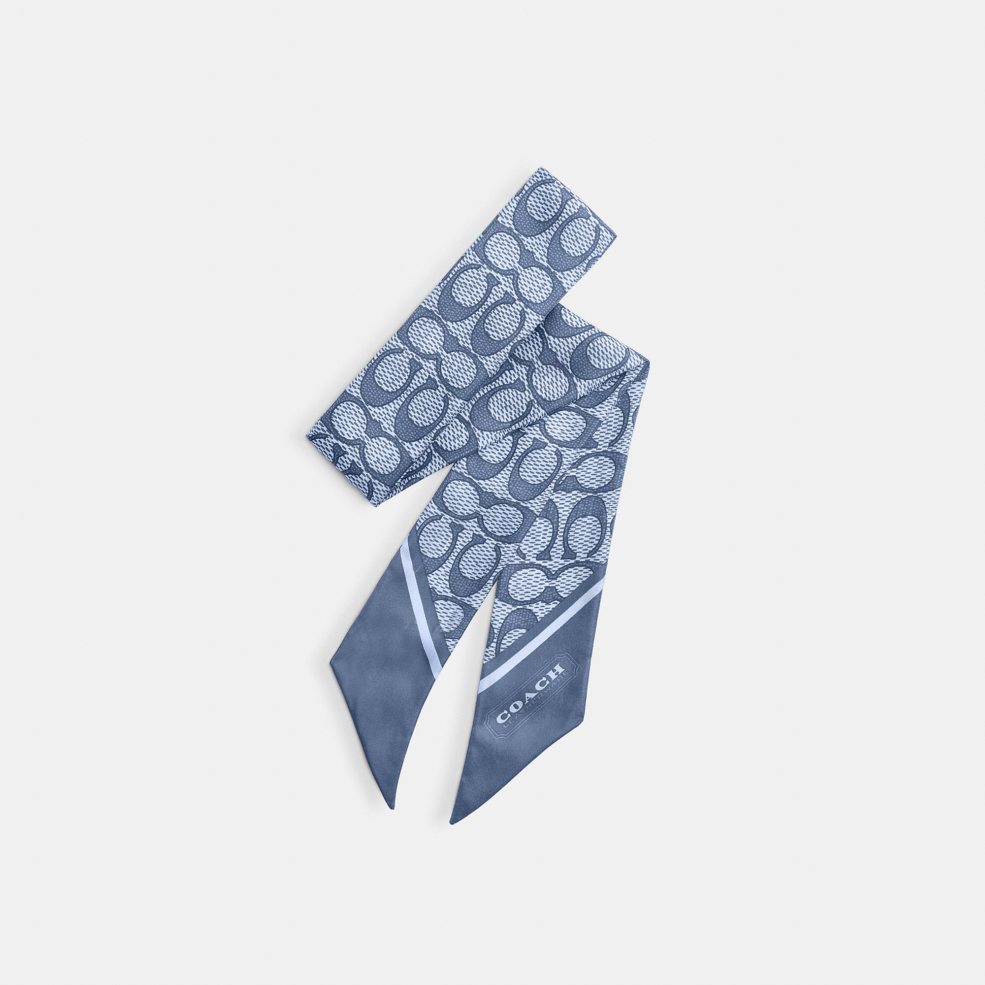 Textured Signature Print Silk Skinny Scarf