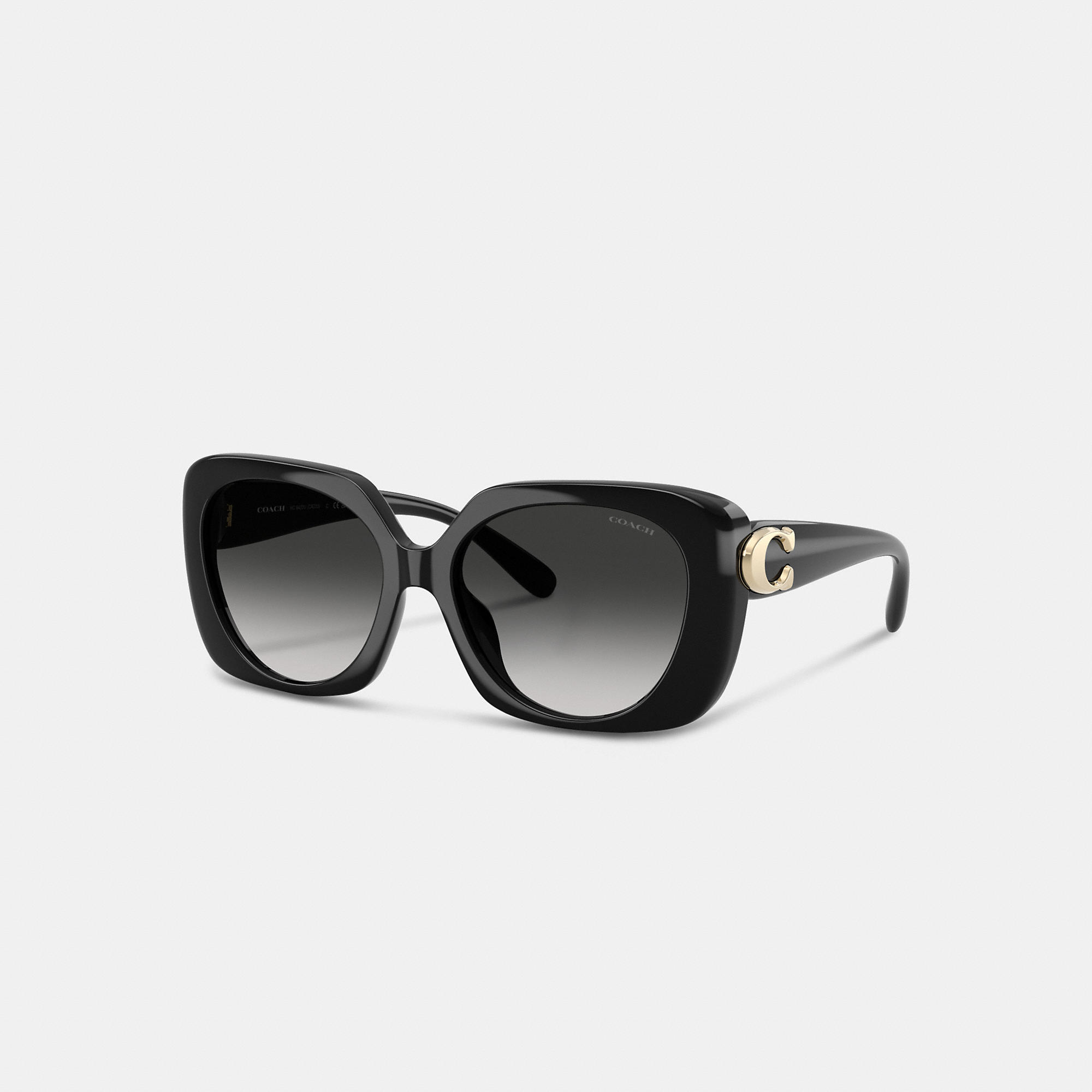 Maxi Sculpted C Oversized Square Sunglasses