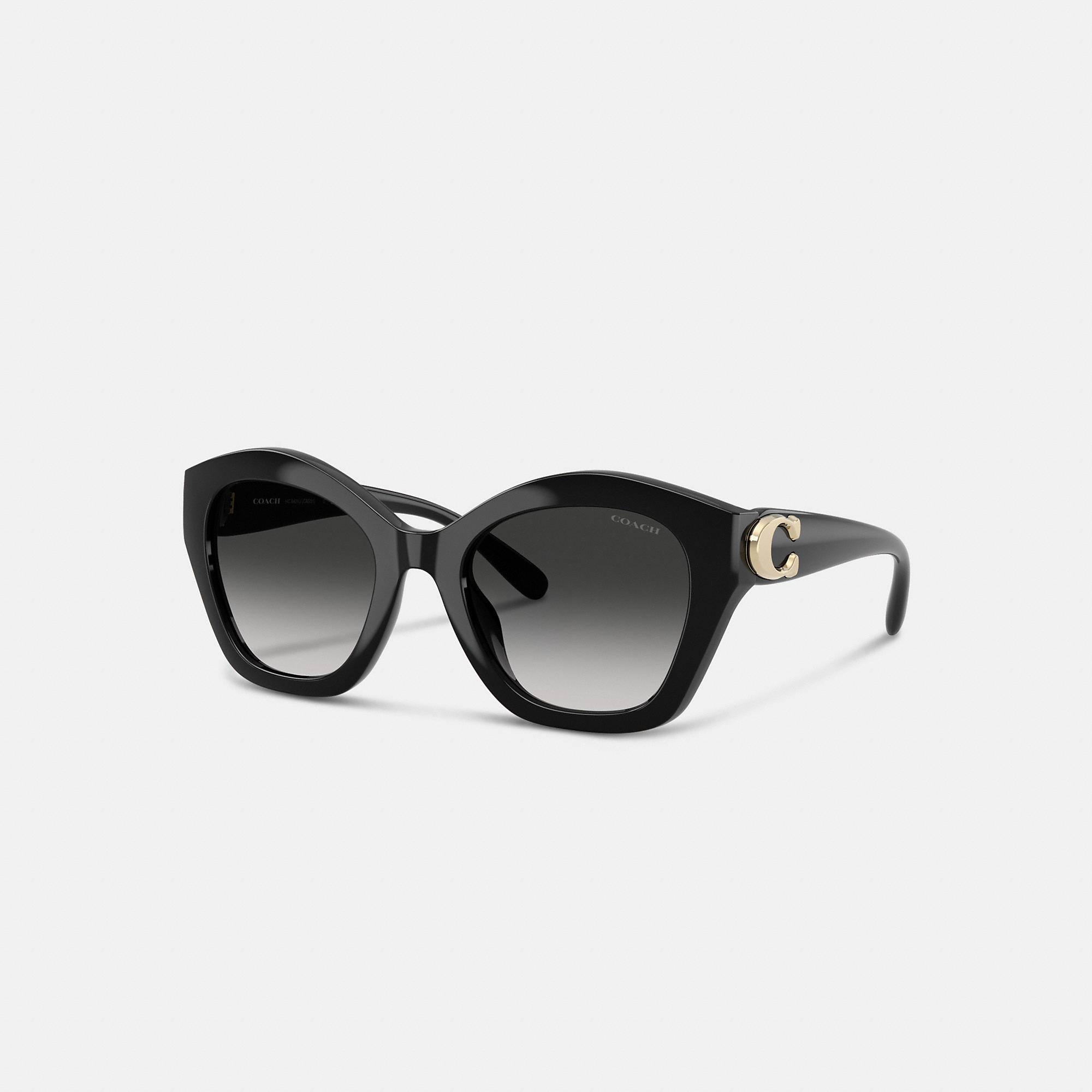 Maxi Sculpted C Oversized Geometric Sunglasses
