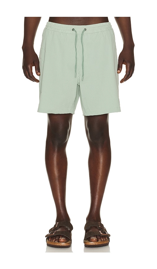 6 Lined Sport & Swim Short in Green.
