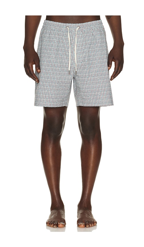 6 Line Sport & Swim Shorts in Green.