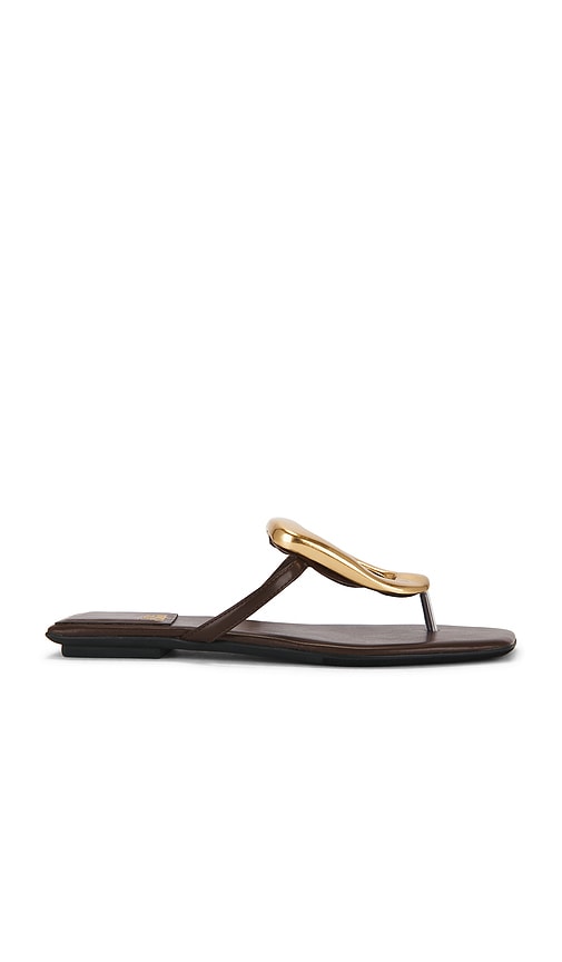Linques 2 Sandal in Chocolate.