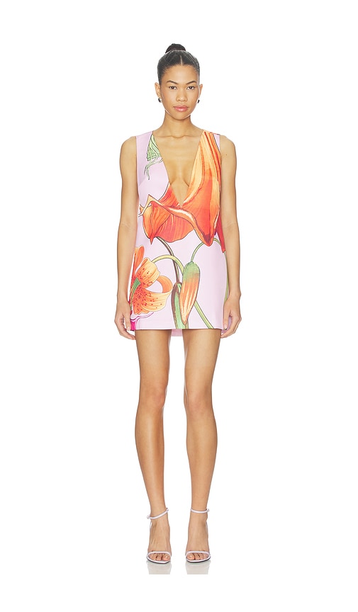 Orange Trumpet V Neck Electra Dress in Pink,Orange.