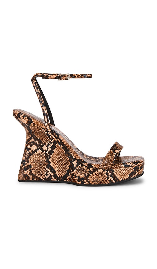 Flaunting 2 Sandal in Brown.