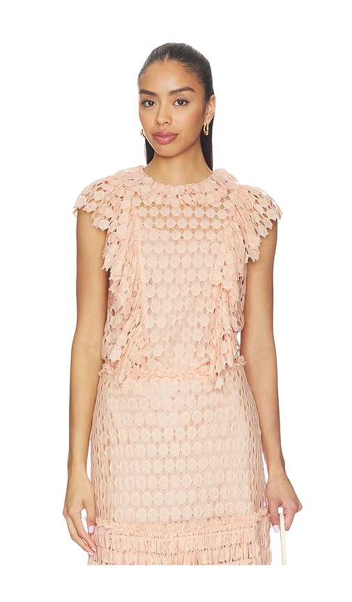 Daevy Lace Short Sleeve Top in Blush.