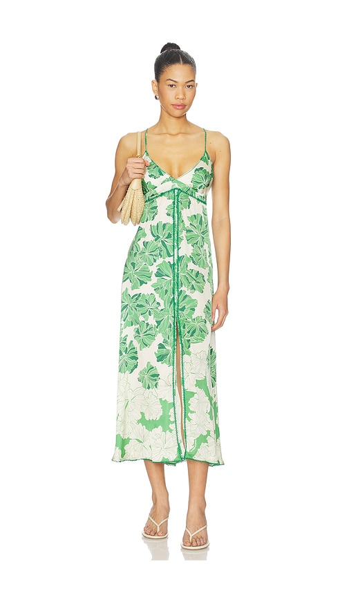 Denise Long Dress in Green,Cream.