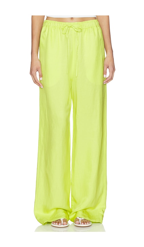 Standard Wide Leg Pant in Green.