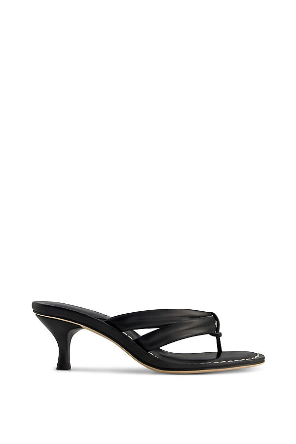 Miami 55 Heels