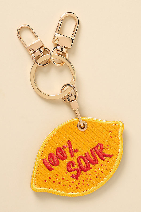 AirTag Key Chain