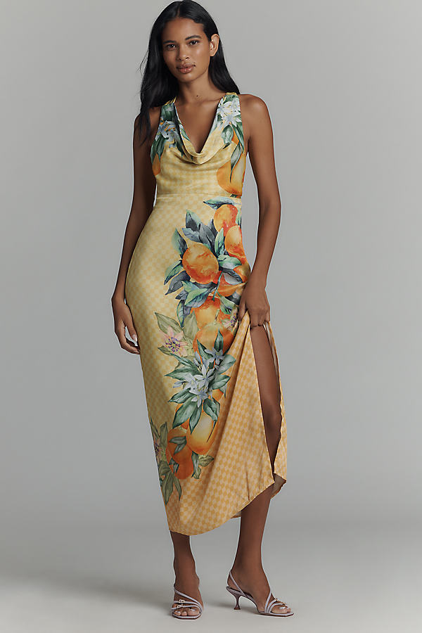 Anny Sleeveless Cowl-Neck Maxi Dress