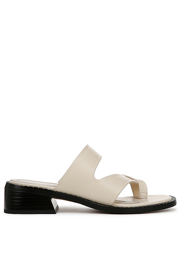 Saylor Heels