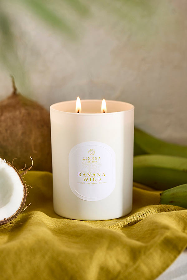 Candle, Banana Wild