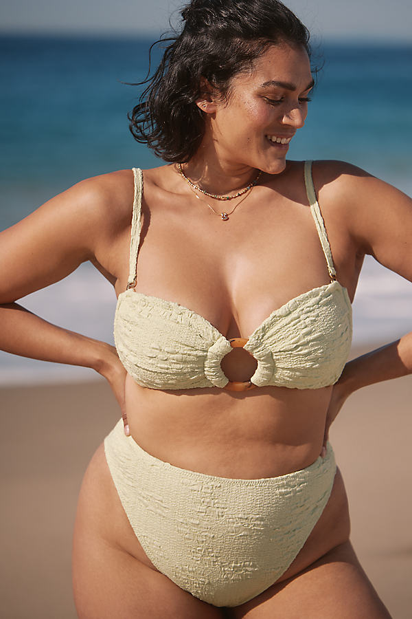 Plus Avocado Bikini Bottoms by Montce