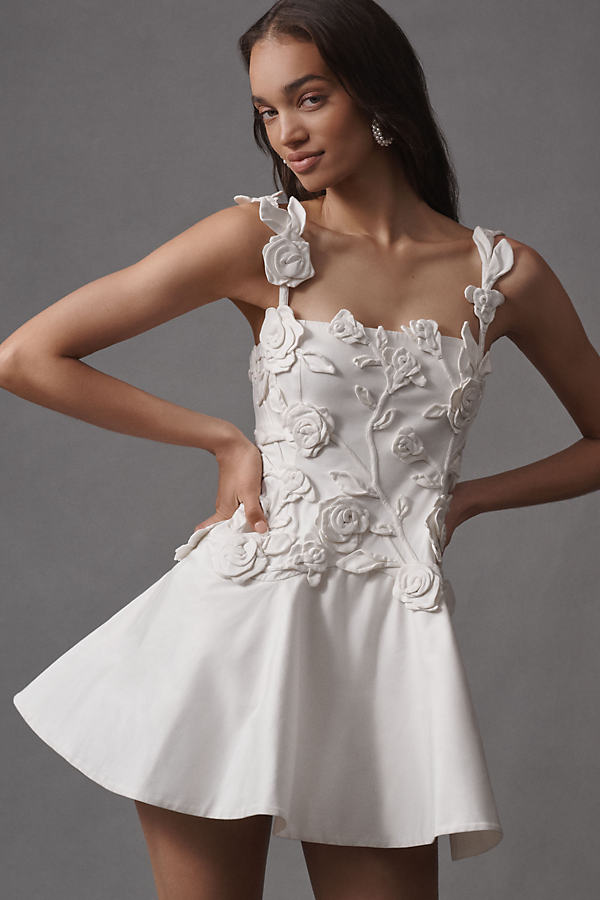 Floral Appliqué Fit-and-Flare Mini Dress