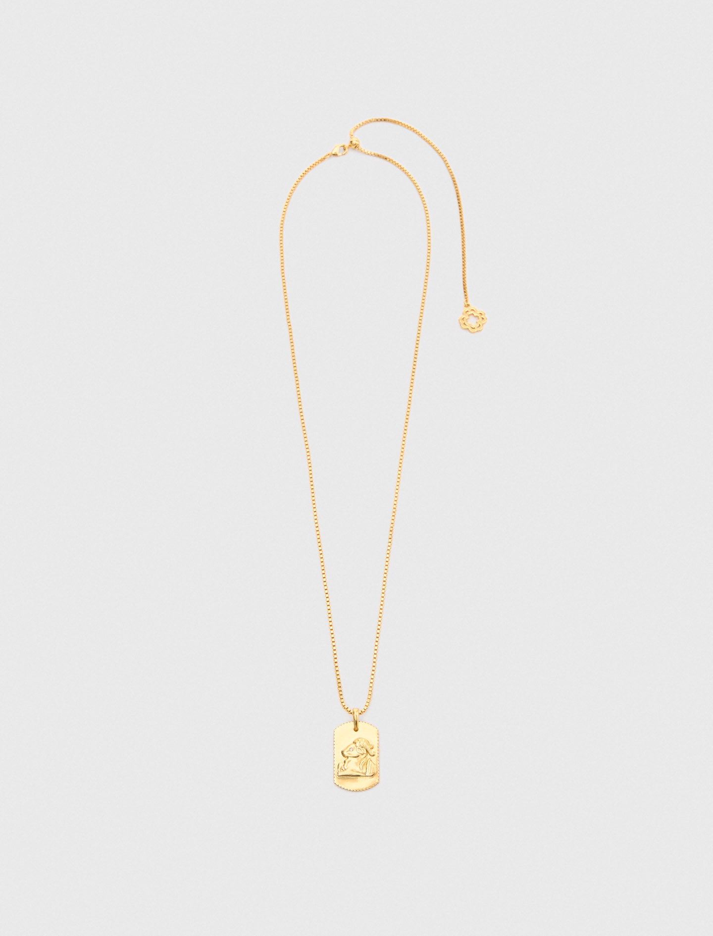 Woman's zirconium Zodiac sign plaque necklace for Spring/Summer, size One Size, in color Capricorn /