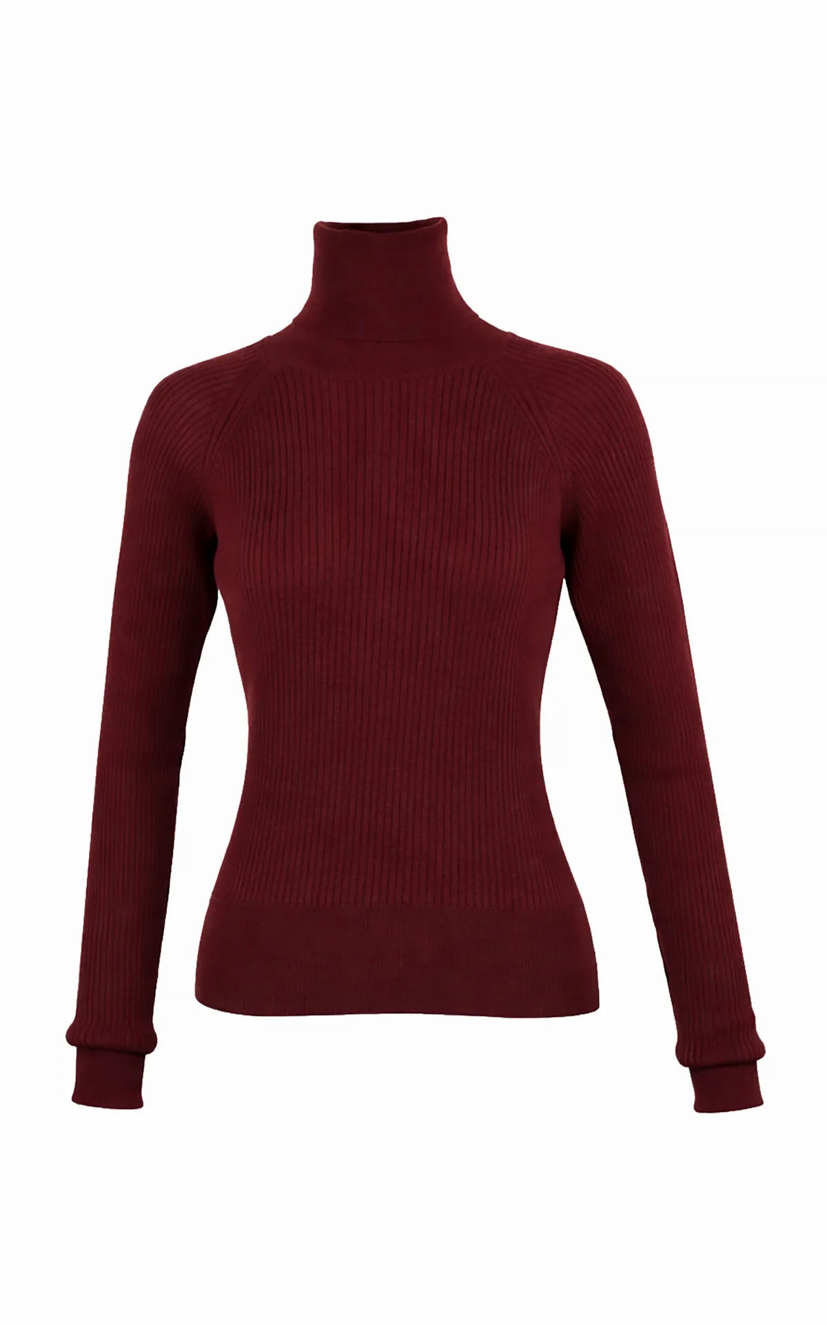 Wendy Wool Turtleneck